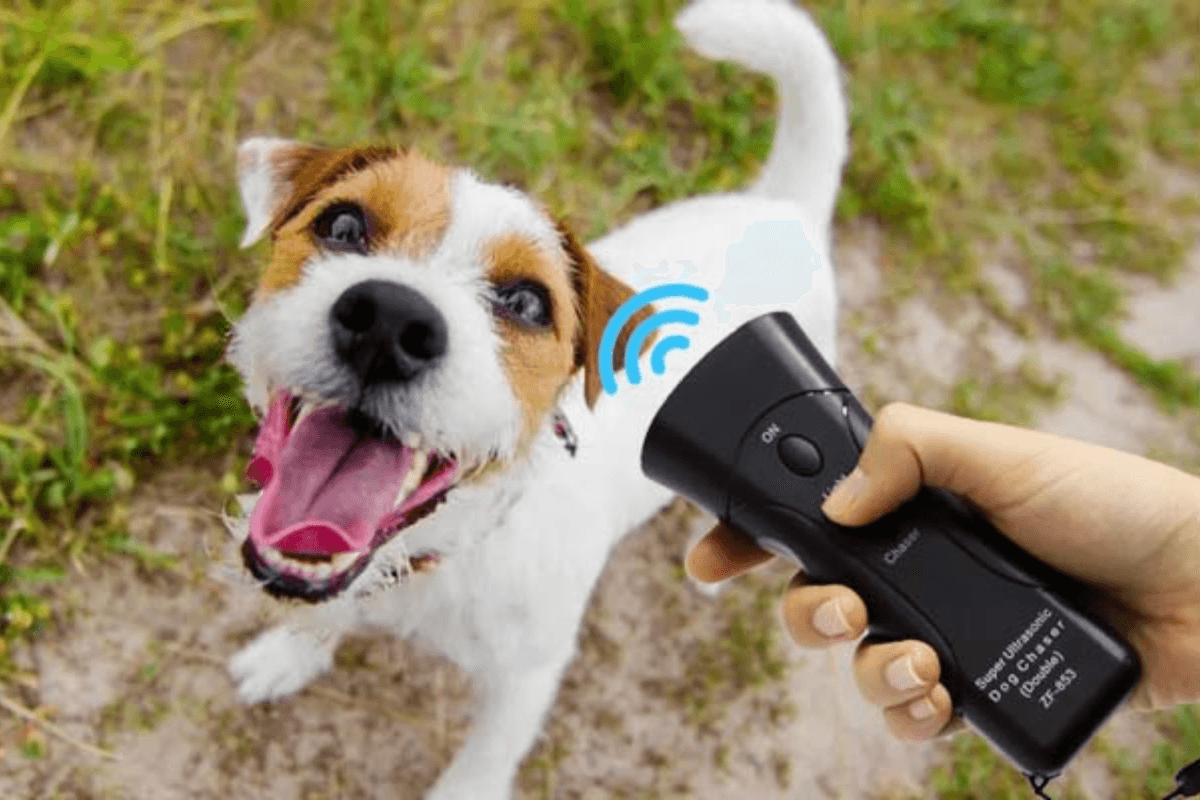 BarxBuddy-Ingenious Device Stops Dog Barking and Makes Your Dog Happy consumergifts